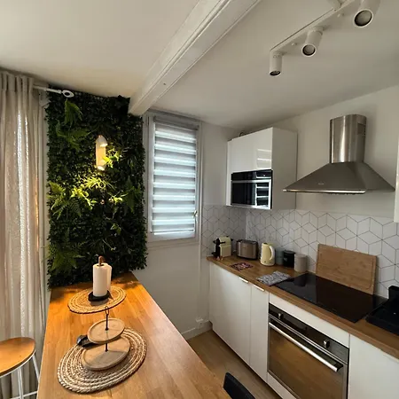 Superbe Duplex Avec Parking Gratuit غرونوبل