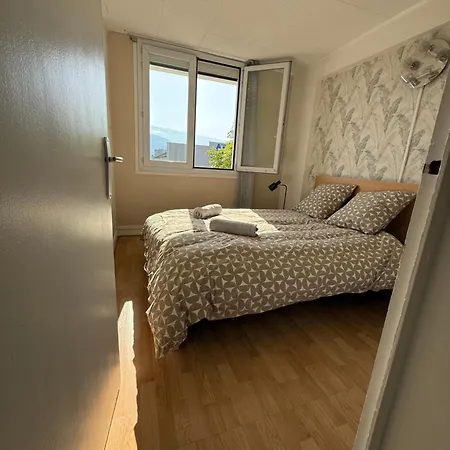 Superbe Duplex Avec Parking Gratuit アパート グルノーブル