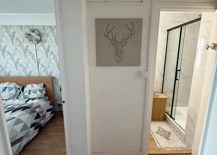 Superbe Duplex Avec Parking Gratuit *