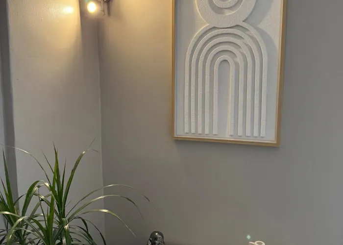 Superbe Duplex Avec Parking Gratuit * Grenoble