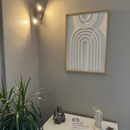 Superbe Duplex Avec Parking Gratuit * Grenoble