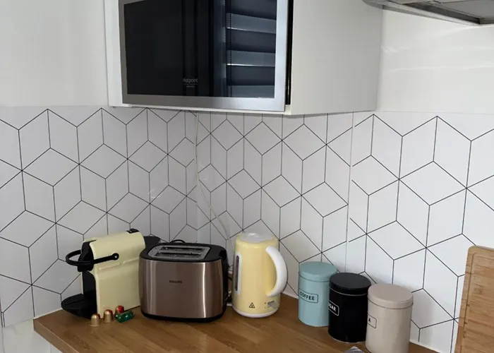 Superbe Duplex Avec Parking Gratuit Grenoble