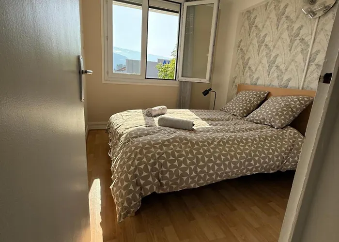 Superbe Duplex Avec Parking Gratuit Apartman Grenoble