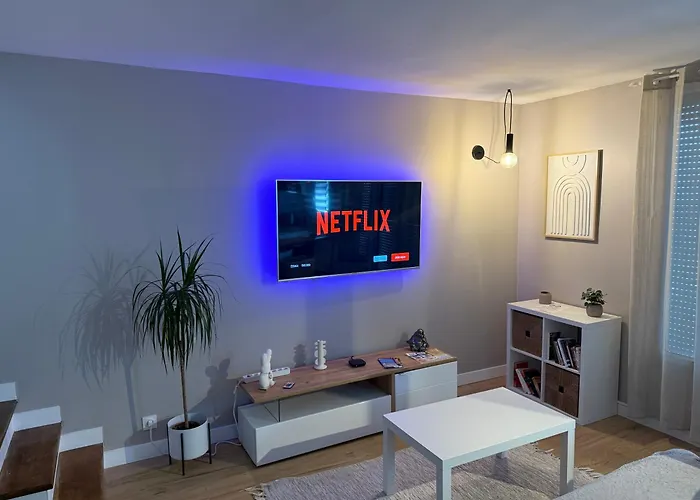 Superbe Duplex Avec Parking Gratuit * Grenoble